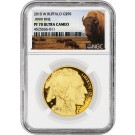 2010 W $50 Proof American Gold Buffalo 1 oz .9999 NGC PF70 Ultra Cameo Coin 